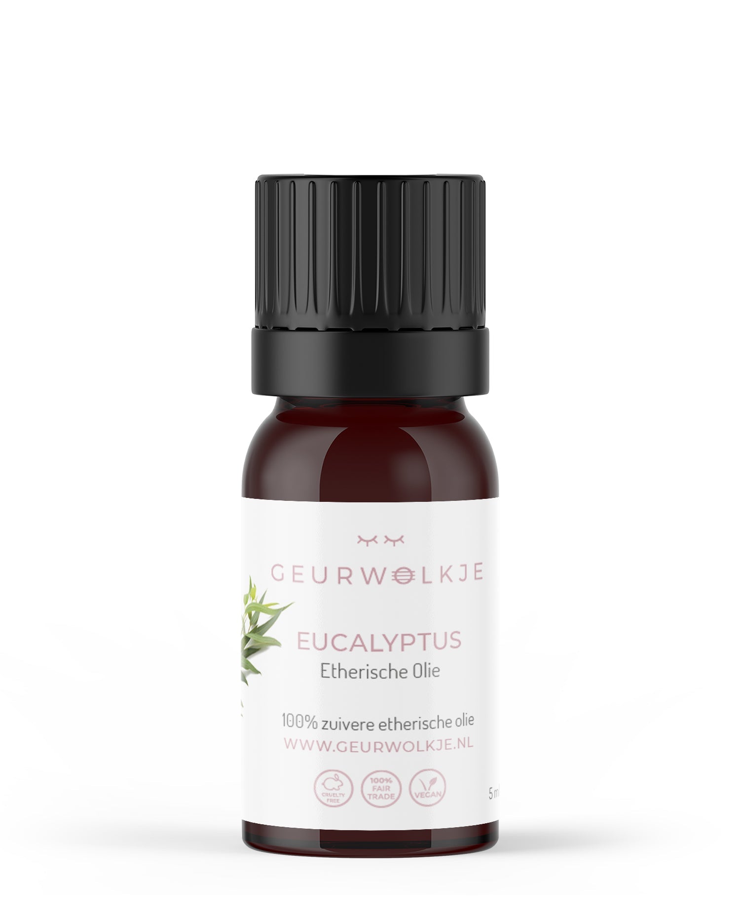 Eukalyptus - 100% ätherisches Öl - 5, 10 und 50 ml