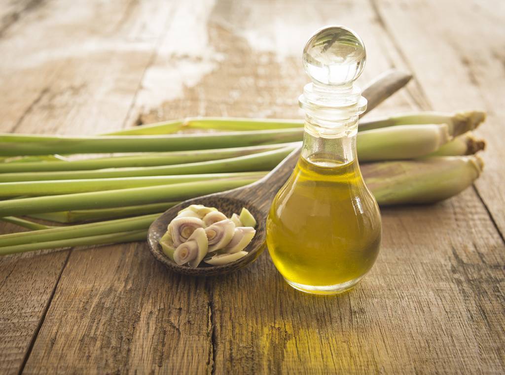 Lemongrass, Etherische Olie