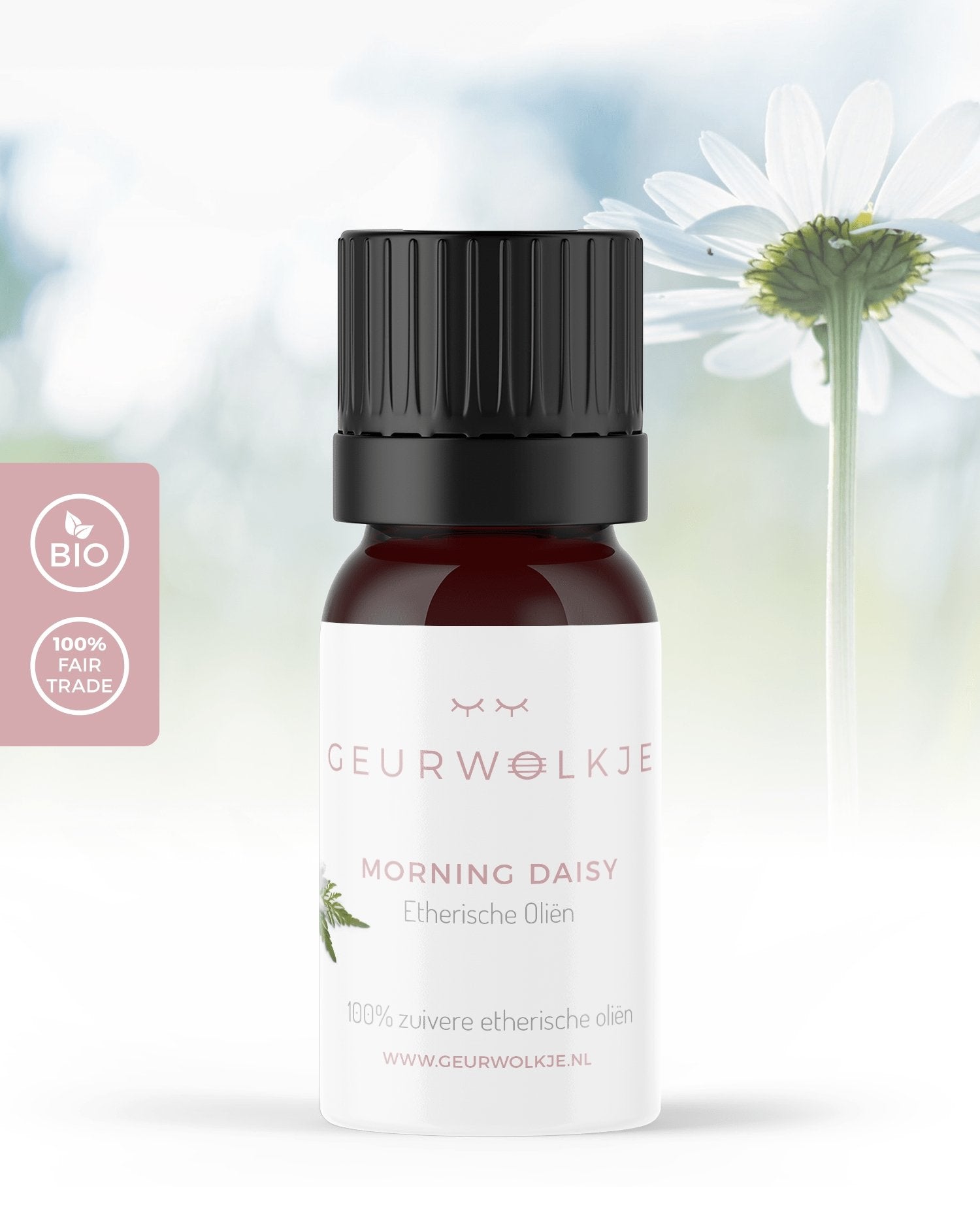 Morgengänseblümchen 100% ätherisches Öl 5ml original Smellacloud blend - Smellacloud