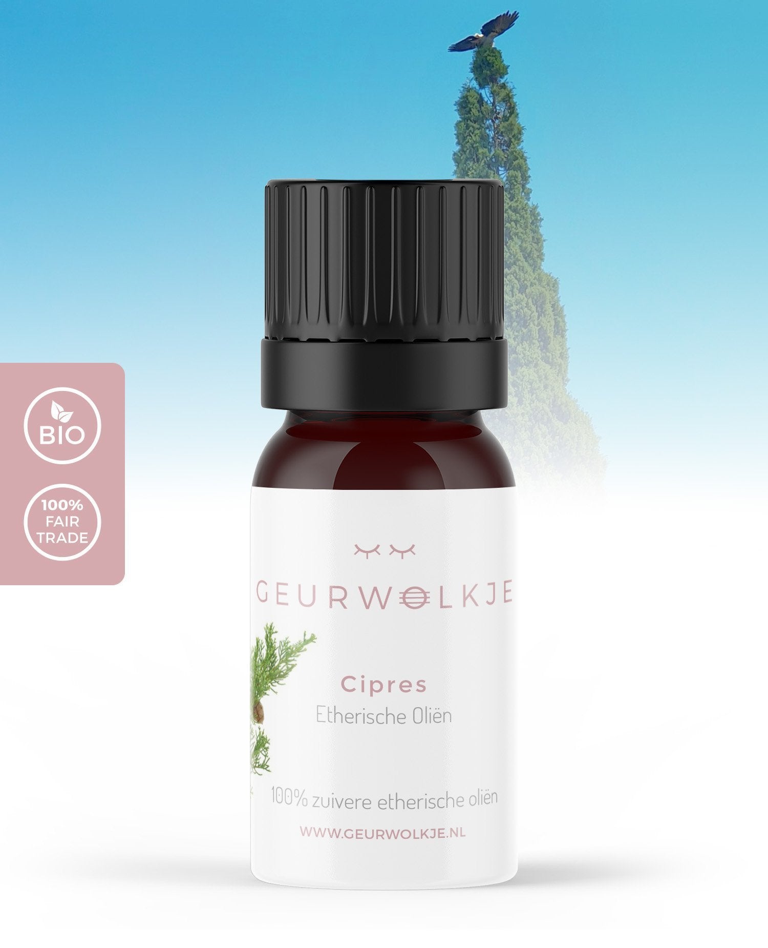 Zypresse 100 % Ätherisches Öl 5 ml - Smellacloud