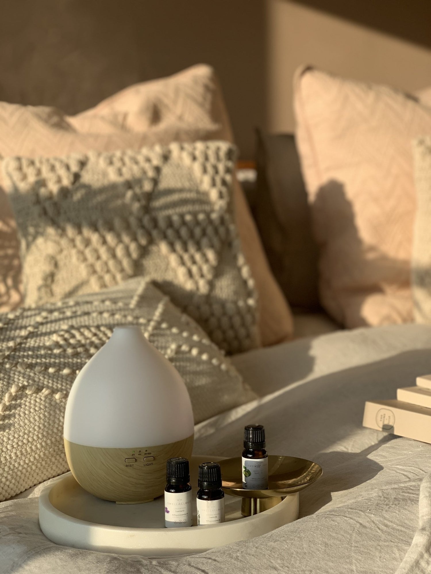 Bessere Luftqualität durch Diffusoren - Smellacloud