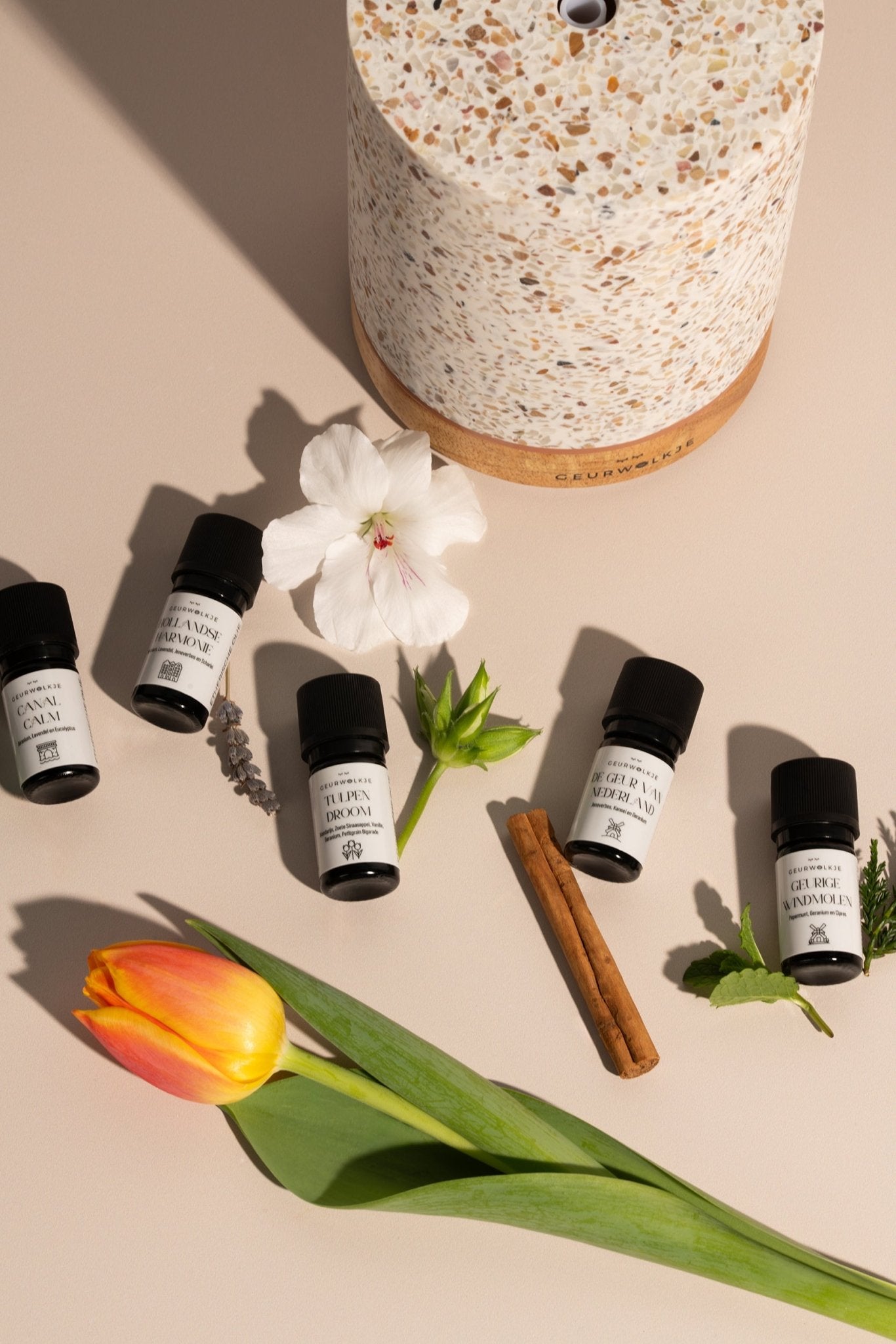 Diese ätherischen Öle unterstützen dein Immunsystem - Smellacloud