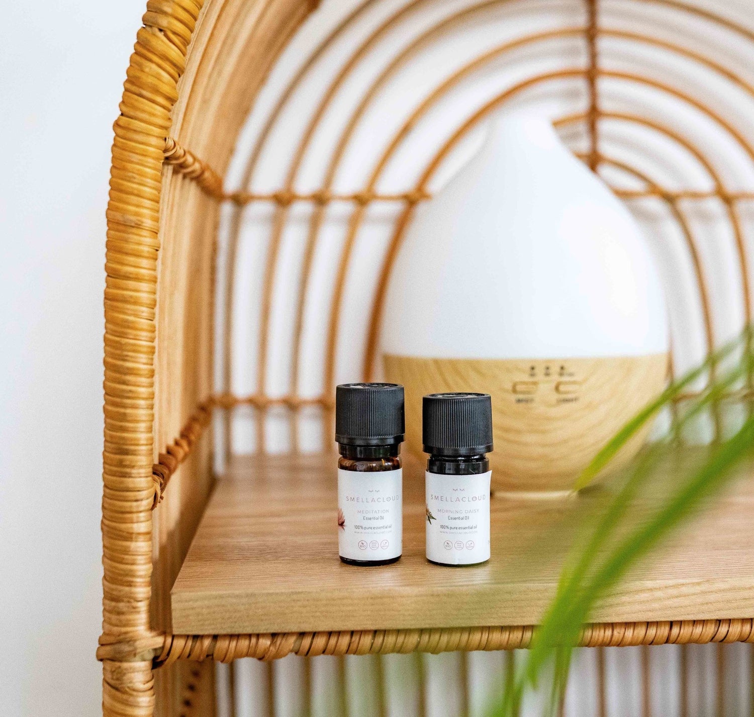 Geruchssinn und ätherische Öle - Smellacloud