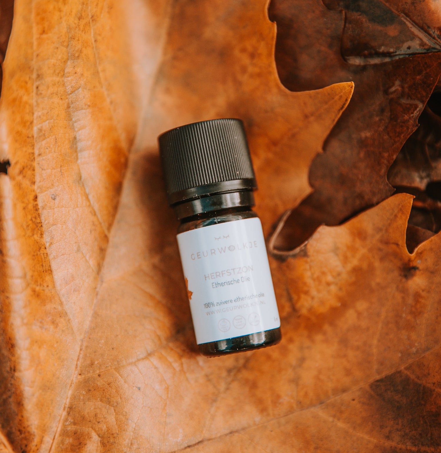 Herbstliche Momente mit Smellacloud – Schaffe dir eine gemütliche Oase - Smellacloud