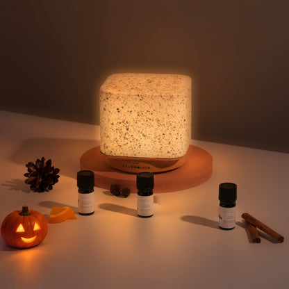 Pumpkin Spice – Living Green Kubus mit ätherischen Ölen – Produktfoto 2