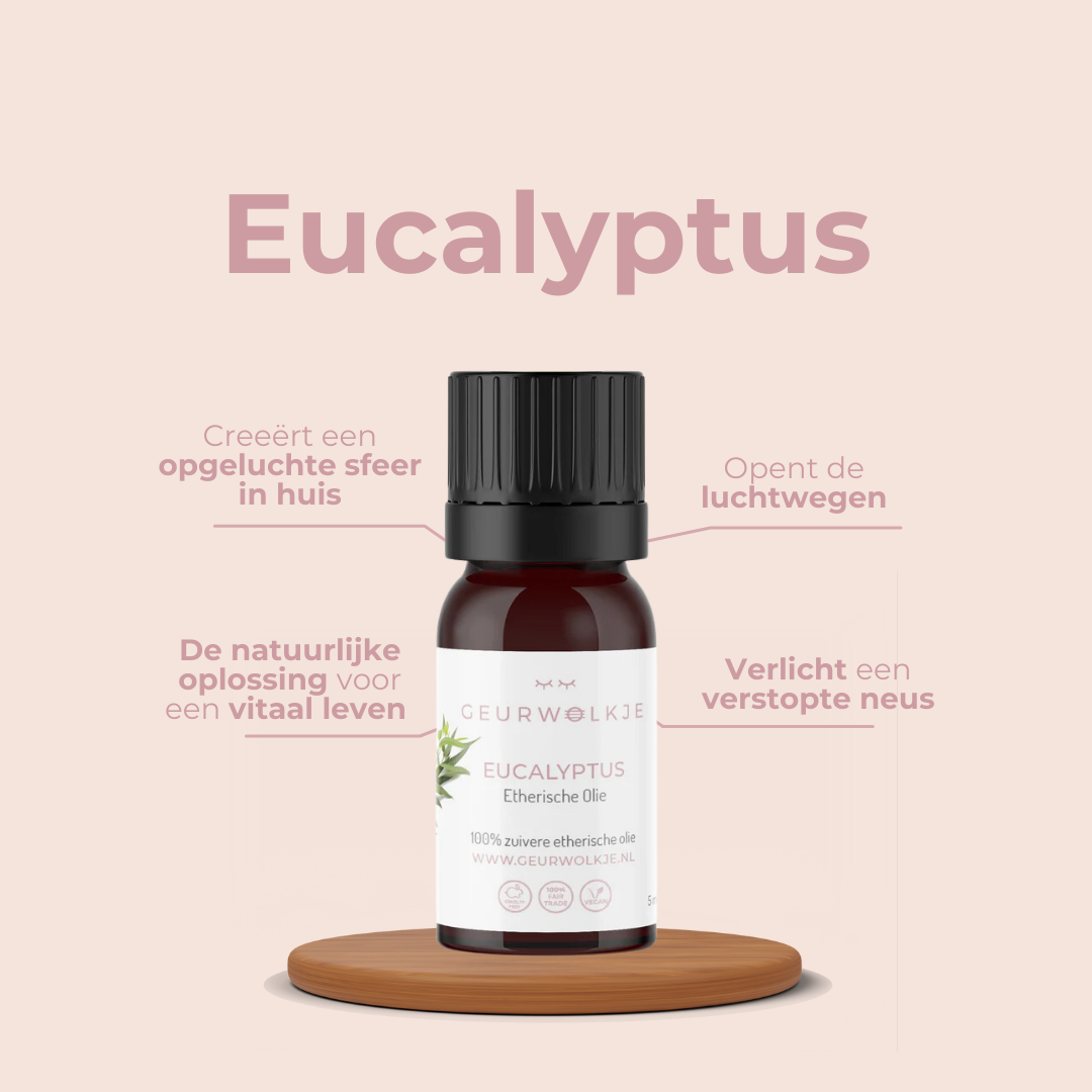 Vitalitäts-Set – Unity Helles Holz – Produktfoto 6
