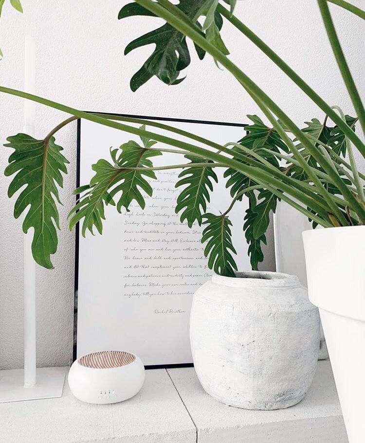 Sakura Aroma Diffuser Weiß 250 ML Smellacloud original - Smellacloud