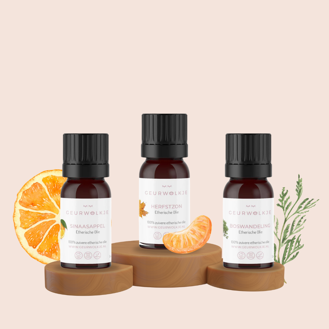 Herbstduft-Set – Living Green Kubus mit ätherischen Ölen – Produktfoto 3