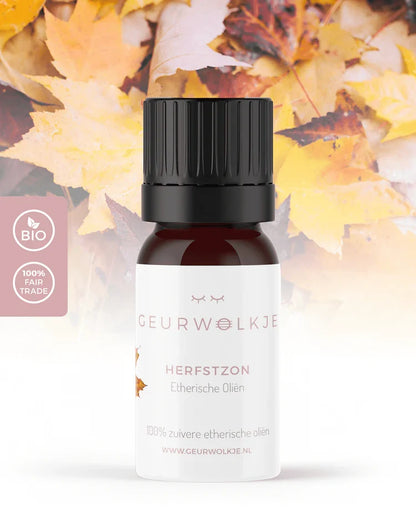 Herbstduft-Set – Living Green Kubus mit ätherischen Ölen – Produktfoto 4