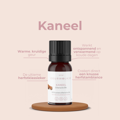 Pumpkin Spice – Zimt, Orange und Vanille – Produktfoto 4