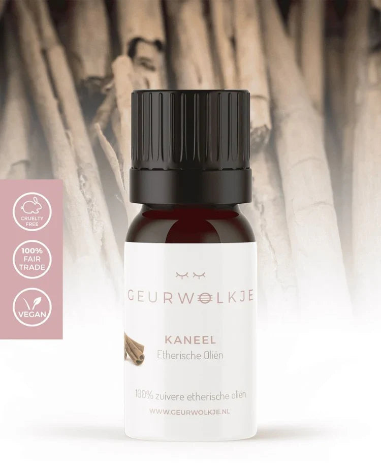 Pumpkin Spice – Living Green Kubus mit ätherischen Ölen – Produktfoto 3