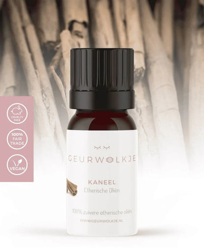 Pumpkin Spice – Living Green Kubus mit ätherischen Ölen – Produktfoto 3