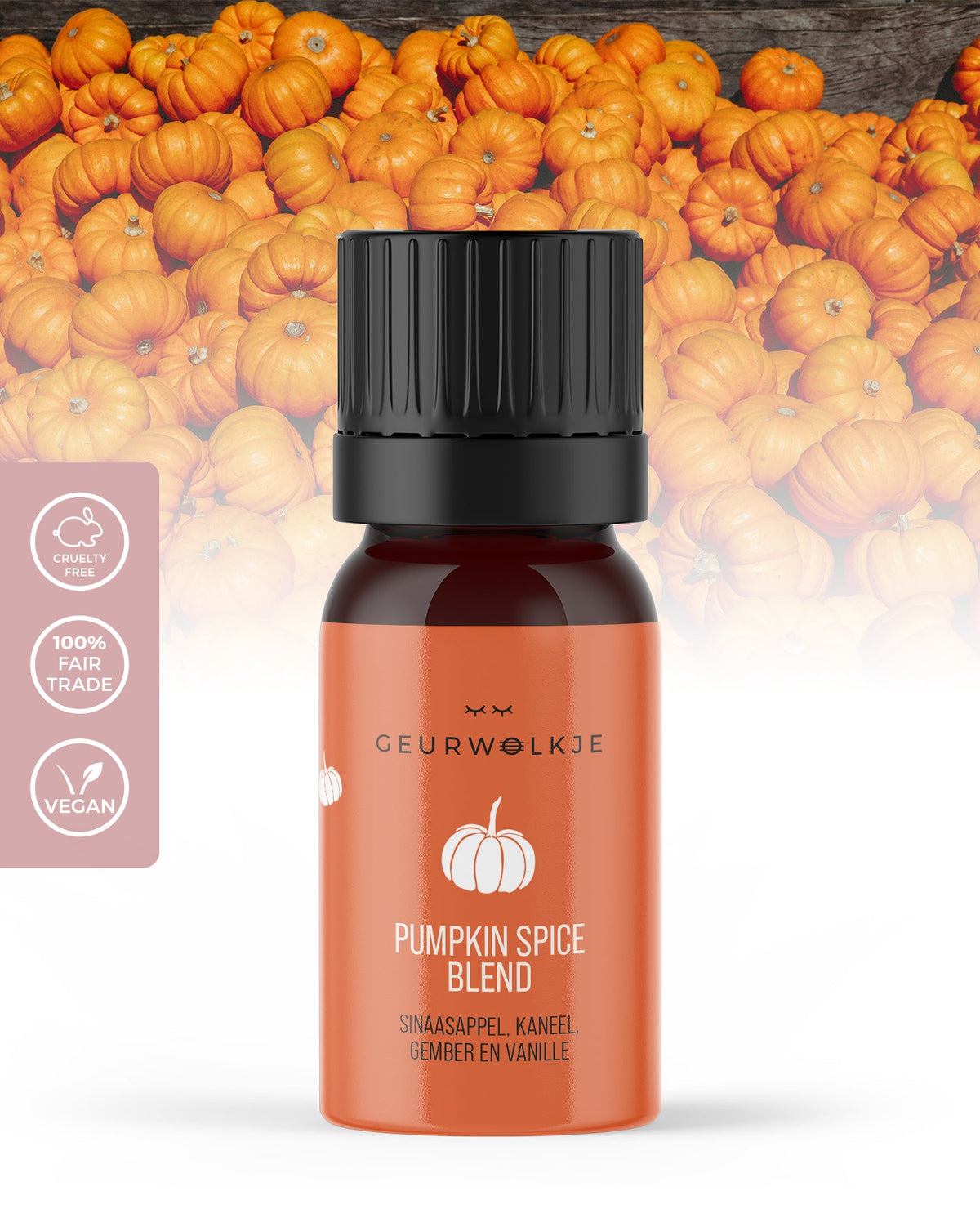Pumpkin Spice - Smellacloud Blend - 100% ätherisches Öl - 5 ml