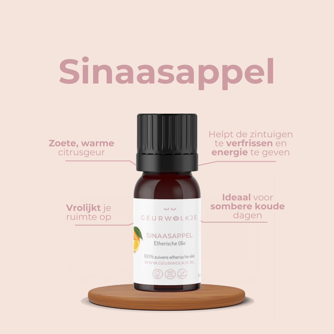 Pumpkin Spice – Living Green Kubus mit ätherischen Ölen – Produktfoto 6