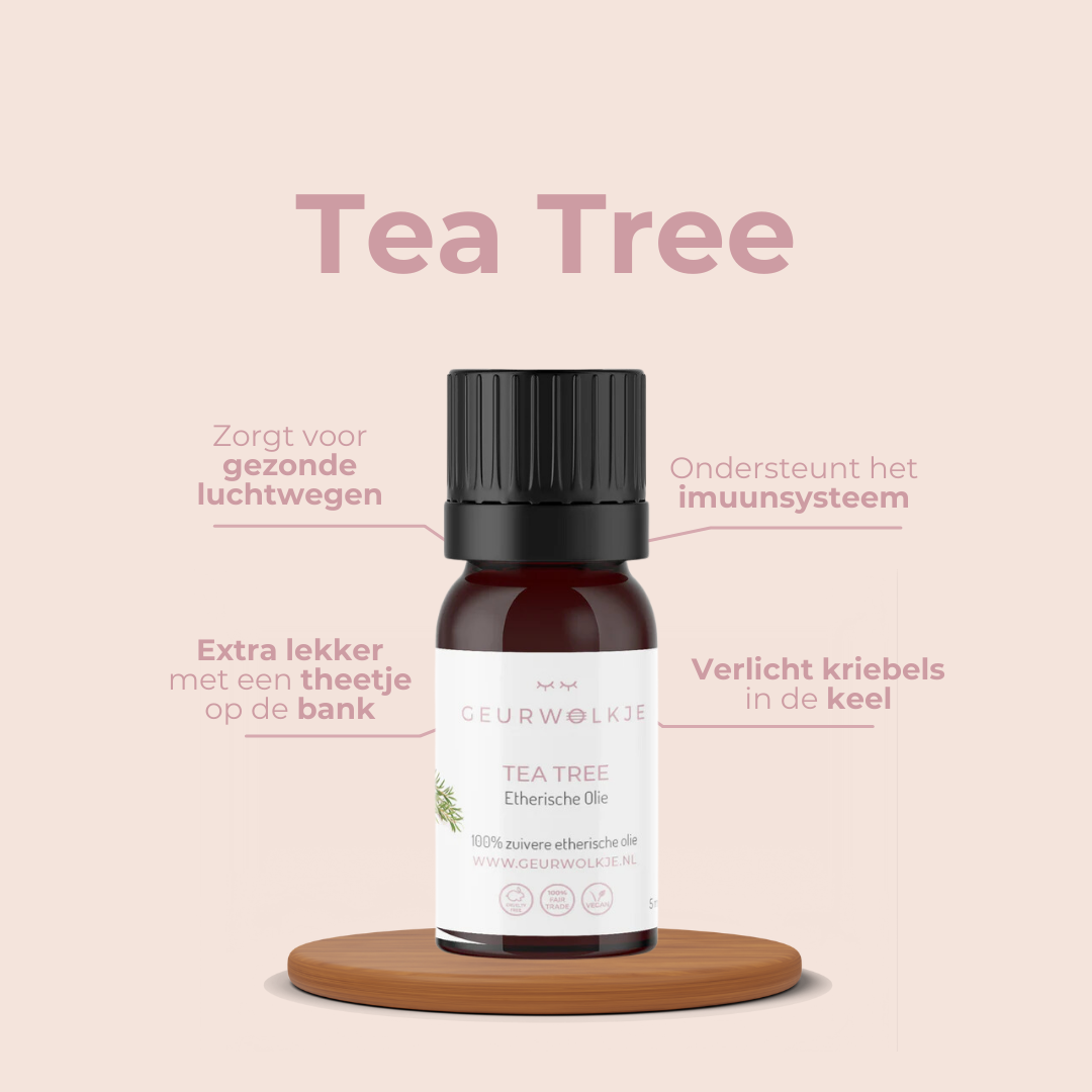 Vitalitäts-Set – Frische Brise, Teebaum und Eukalyptus – Produktfoto 5