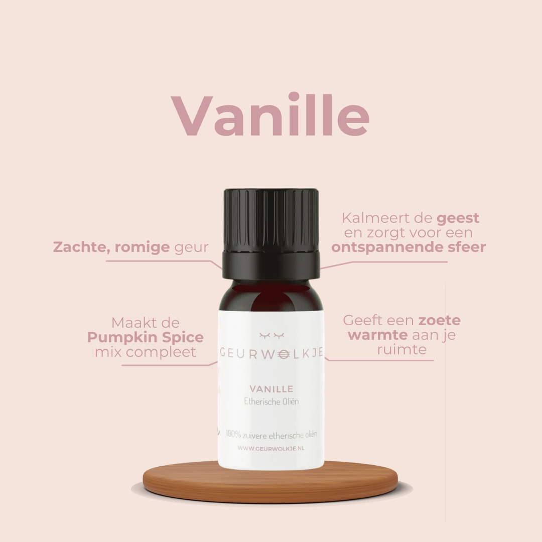 Pumpkin Spice – Zimt, Orange und Vanille – Produktfoto 8