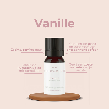 Pumpkin Spice – Zimt, Orange und Vanille – Produktfoto 8
