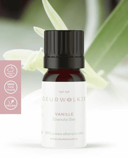 Pumpkin Spice – Living Green Kubus mit ätherischen Ölen – Produktfoto 7