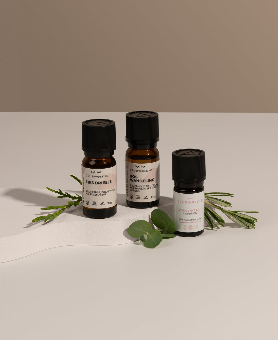 Konzentrations-Set – Konzentration, Frische Brise und Waldspaziergang – Produktfoto 1