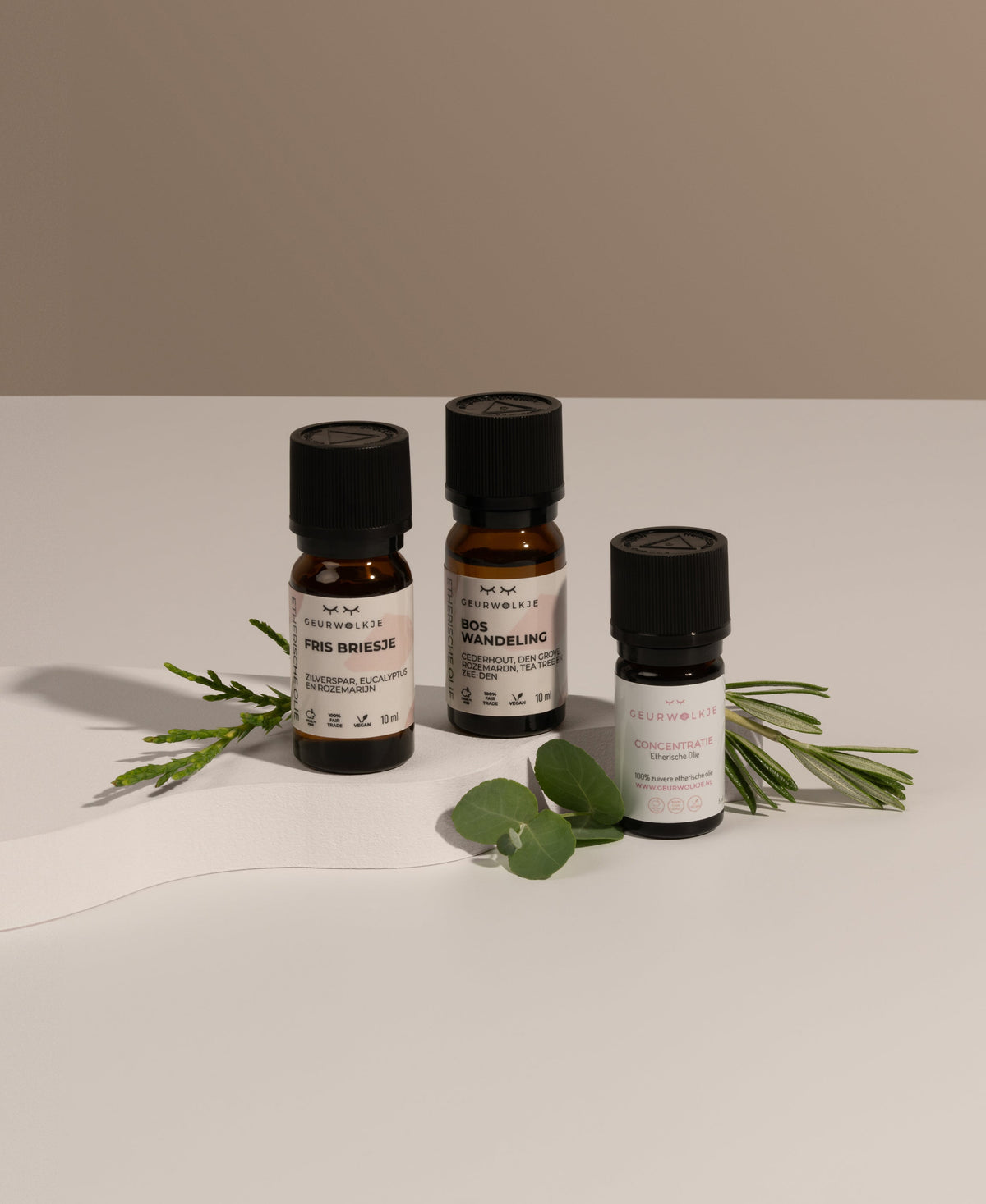 Konzentrations-Set – Konzentration, Frische Brise und Waldspaziergang – Produktfoto 1