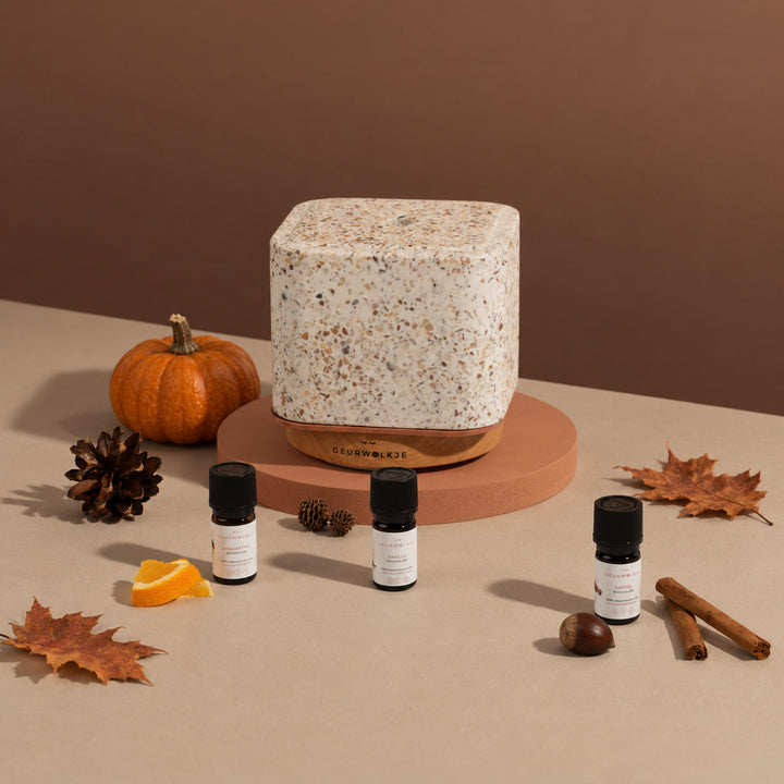 Pumpkin Spice – Living Green Kubus mit ätherischen Ölen – Produktfoto 1