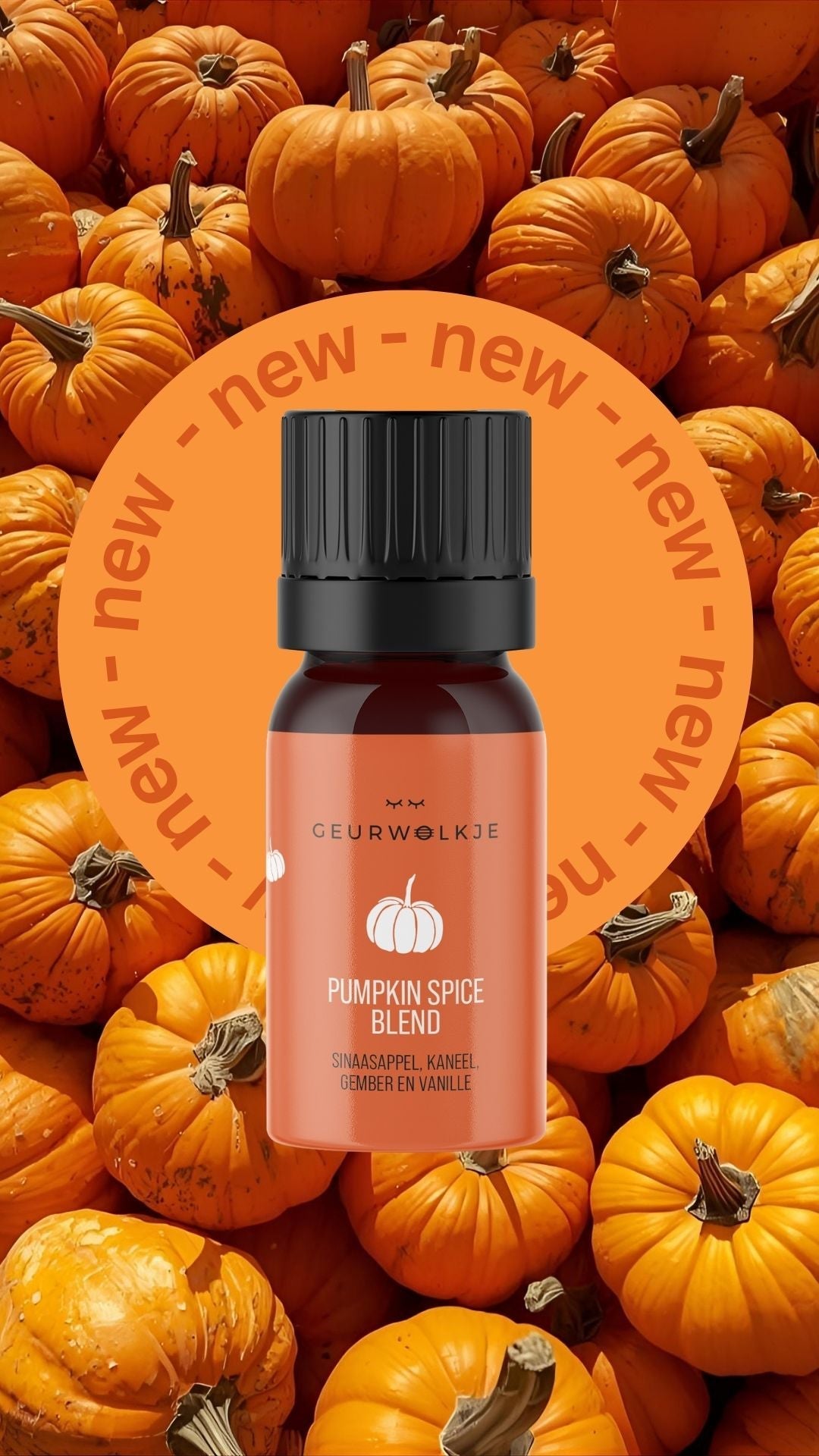Pumpkin Spice - Smellacloud Blend - 100% ätherisches Öl - 5 ml