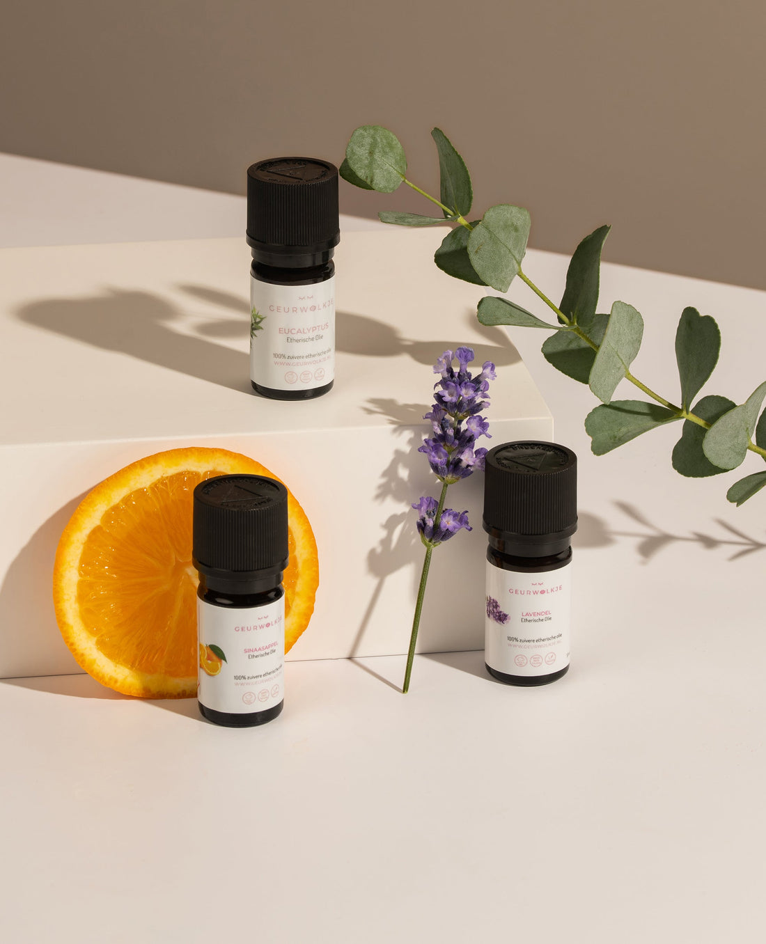 Daily Balance Trio – Ätherische Öle – Produktfoto 1