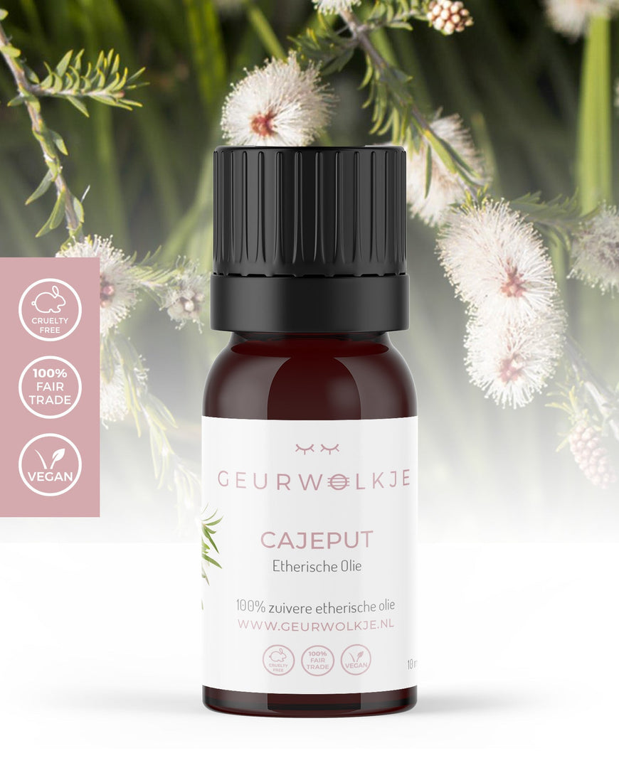 Cajeput 100% ätherisches Öl 10ml - Smellacloud