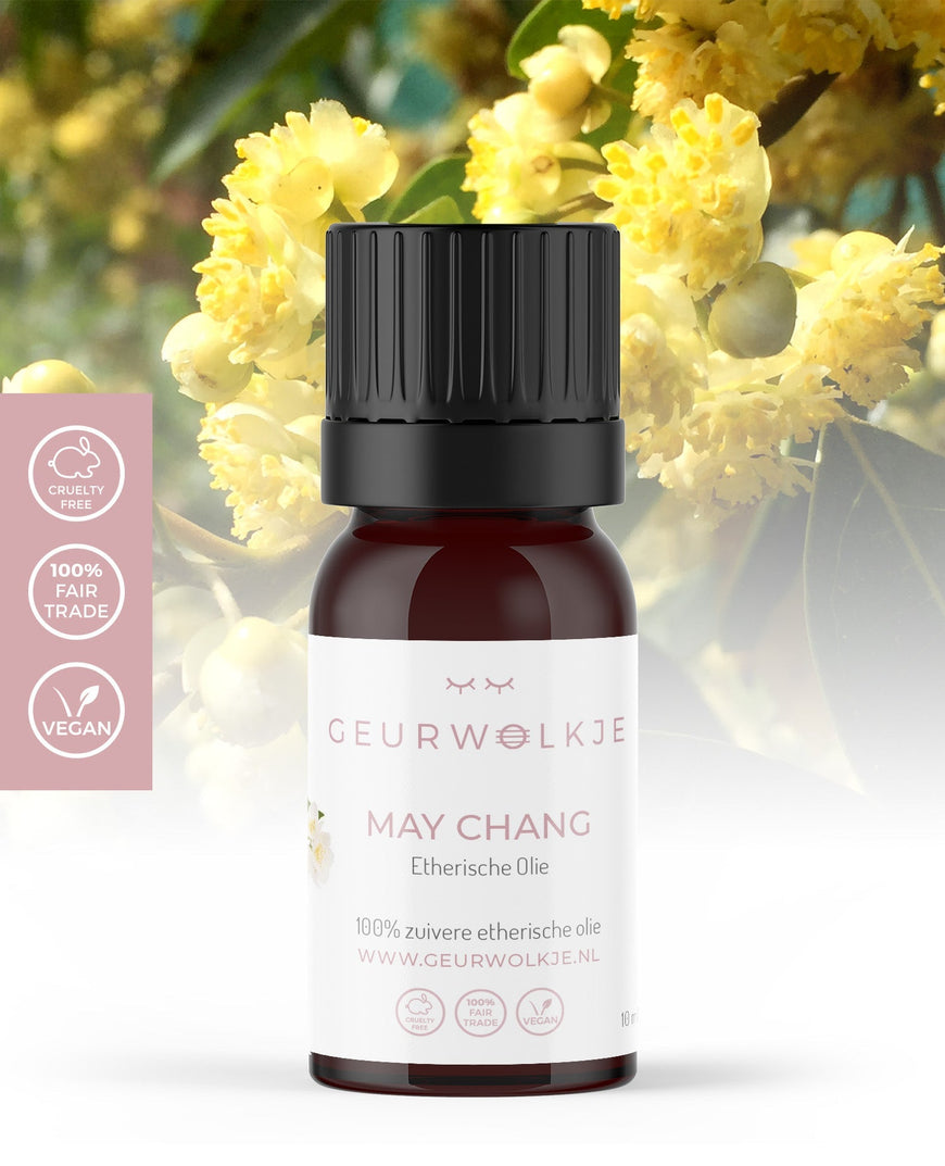 May Chang (Litsea) 100% ätherisches Öl 10ml - Smellacloud