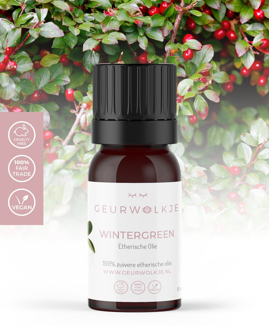 Wintergrün 100% ätherisches Öl 10ml - Smellacloud